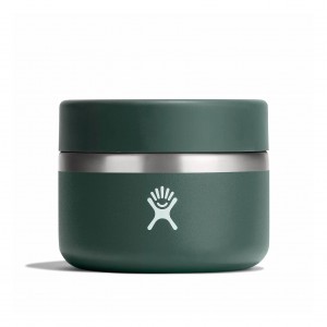 Hydro Flask 12 oz Insulated Food Jar Fir | 398560-BPK