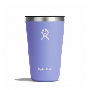 Hydro Flask 16 oz All Around™ Tumbler Lupine | 906243-KAX