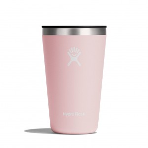 Hydro Flask 16 oz All Around™ Tumbler Trillium | 371259-FVA