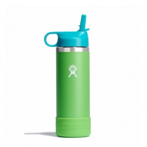 Hydro Flask 18 oz Kids Wide Mouth w/ Straw Cap Grass | 930652-QNC