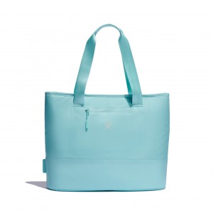 Hydro Flask 20 L Insulated Tote Alpine | 935816-QSV
