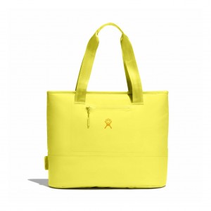 Hydro Flask 20 L Insulated Tote Cactus | 948261-QJM