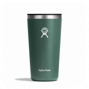 Hydro Flask 20 oz All Around™ Tumbler Fir | 172358-CFT