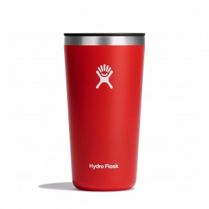 Hydro Flask 20 oz All Around™ Tumbler Goji | 038597-IED