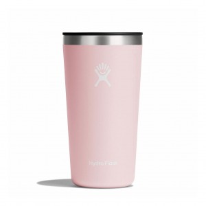 Hydro Flask 20 oz All Around™ Tumbler Trillium | 327198-DIL