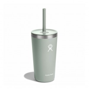 Hydro Flask 20 oz All Around™ Tumbler with Straw Lid Agave | 146073-FJX