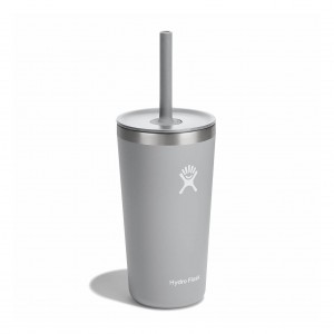 Hydro Flask 20 oz All Around™ Tumbler with Straw Lid Birch | 964587-PCU