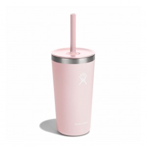 Hydro Flask 20 oz All Around™ Tumbler with Straw Lid Trillium | 941780-OGP