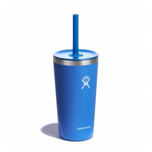 Hydro Flask 20 oz All Around™ Tumbler with Straw Lid Cascade | 843250-ANG