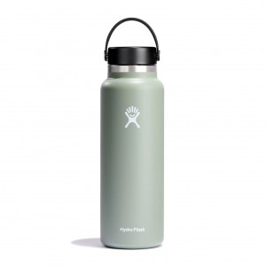 Hydro Flask 20 oz Brede Mouth Agave | 706835-QBG