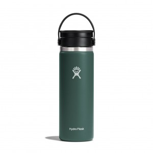 Hydro Flask 20 oz Coffee with Flex Sip™ Lid Fir | 635194-IVE
