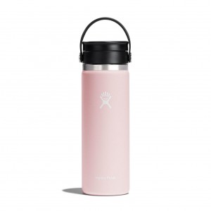 Hydro Flask 20 oz Coffee with Flex Sip™ Lid Trillium | 267409-PXV