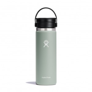 Hydro Flask 20 oz Coffee with Flex Sip™ Lid Agave | 150496-DZU