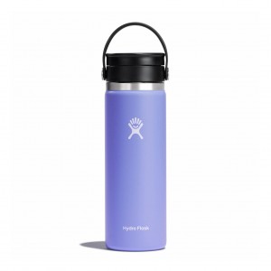 Hydro Flask 20 oz Coffee with Flex Sip™ Lid Lupine | 583972-TNE