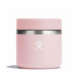 Hydro Flask 20 oz Insulated Food Jar Trillium | 532047-WOF