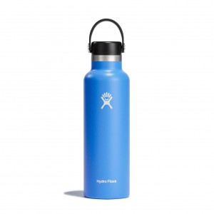 Hydro Flask 21 oz Standard Mouth Cascade | 198526-TAR
