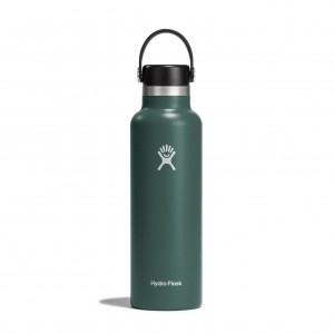 Hydro Flask 21 oz Standard Mouth Fir | 478093-DYK