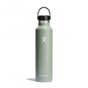 Hydro Flask 24 oz Standard Mouth Agave | 067591-TYF