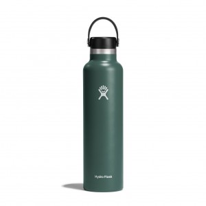 Hydro Flask 24 oz Standard Mouth Fir | 785416-RFB