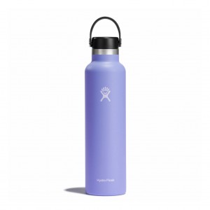 Hydro Flask 24 oz Standard Mouth Lupine | 158390-CKB