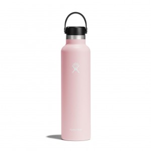 Hydro Flask 24 oz Standard Mouth Trillium | 683271-OXT