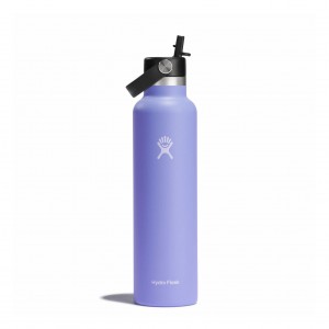 Hydro Flask 24 oz Standard Mouth with Flex Straw Cap Lupine | 138504-LJD