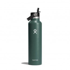 Hydro Flask 24 oz Standard Mouth with Flex Straw Cap Fir | 840612-DBP
