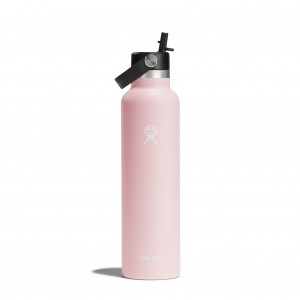 Hydro Flask 24 oz Standard Mouth with Flex Straw Cap Trillium | 378294-QZN