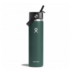Hydro Flask 24 oz Wide Mouth with Flex Straw Cap Fir | 473206-VGS