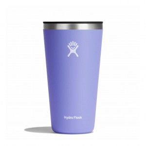 Hydro Flask 28 oz All Around™ Tumbler Lupine | 216839-INT