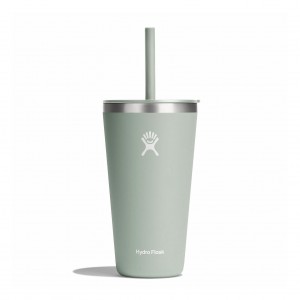 Hydro Flask 28 oz All Around™ Tumbler with Straw Lid Agave | 874903-HET