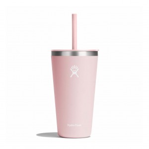 Hydro Flask 28 oz All Around™ Tumbler with Straw Lid Trillium | 932041-JLM