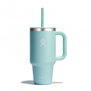 Hydro Flask 32 oz All Around™ Travel Tumbler Dew | 648023-ZNP