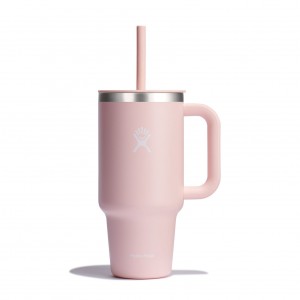 Hydro Flask 32 oz All Around™ Travel Tumbler Trillium | 620593-HJQ