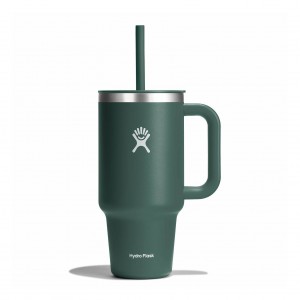 Hydro Flask 32 oz All Around™ Travel Tumbler Fir | 170368-CBU