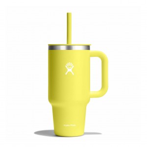 Hydro Flask 32 oz All Around™ Travel Tumbler Cactus | 791423-EIW