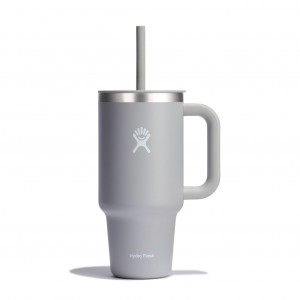 Hydro Flask 32 oz All Around™ Travel Tumbler Birch | 052864-SAU