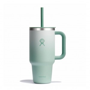 Hydro Flask 32 oz All Around™ Travel Tumbler Matcha Ombre | 743915-ZHF