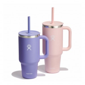 Hydro Flask 32oz/42oz Hydration Handled™ Bundle | 138469-TMU