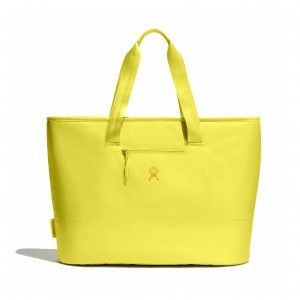 Hydro Flask 35 L Insulated Tote Cactus | 316245-BRW
