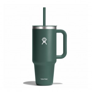 Hydro Flask 40 oz All Around™ Travel Tumbler Fir | 056897-DAJ