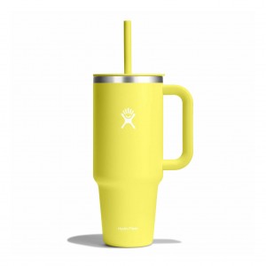 Hydro Flask 40 oz All Around™ Travel Tumbler Cactus | 786219-IJA