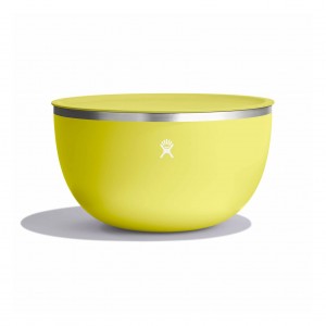 Hydro Flask 5 qt Serving Bowl with Lid Cactus | 468392-BGW