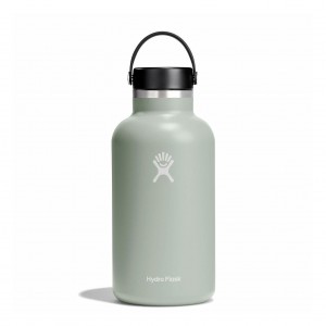 Hydro Flask 64 oz Wide Mouth Agave | 084193-JXE