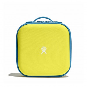 Hydro Flask Kids Insulated Lunch Box Cactus | 739261-UNX