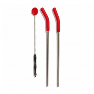 Hydro Flask Stainless Steel Straw Set Goji | 893740-TKG